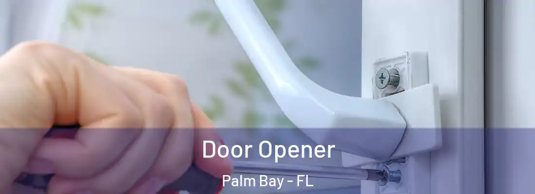 Door Opener Palm Bay - FL